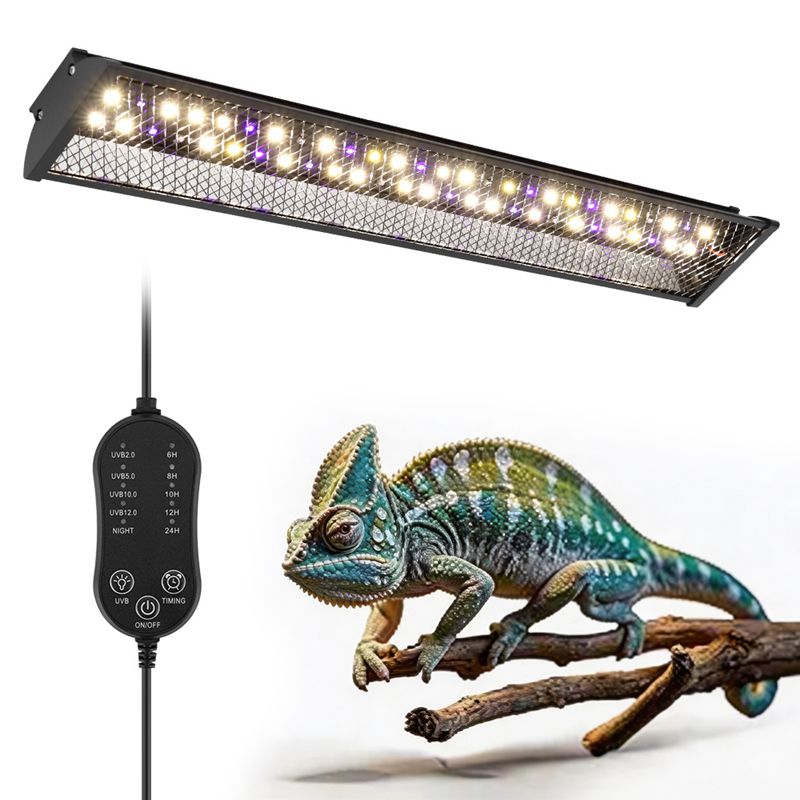Reptiles Bracket Light Maned L - Calcium Powder Reptile ulasan dan harga