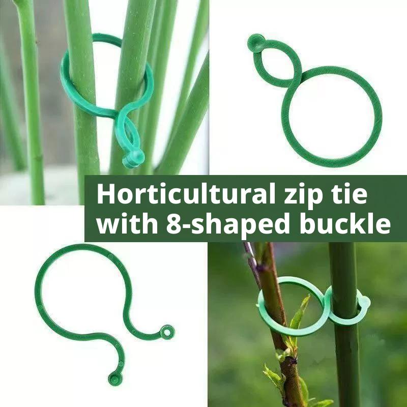 100 Pcs Plant Support Clips He - Vine Climbing Plastic ulasan dan harga