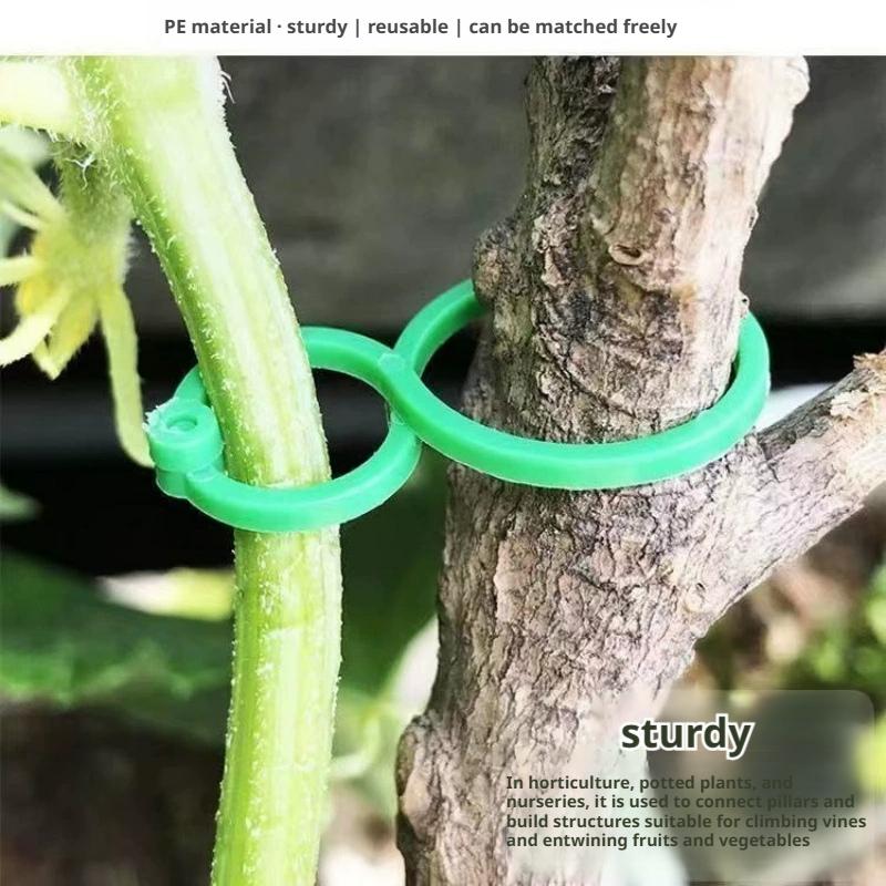 100 Pcs Plant Support Clips He - Vine Climbing Plastic ulasan dan harga