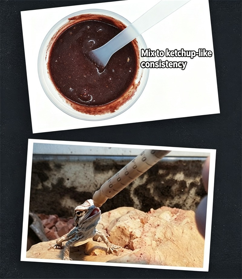 Reptile Food Gecko Insect Frui - Calcium Powder Reptile ulasan dan harga