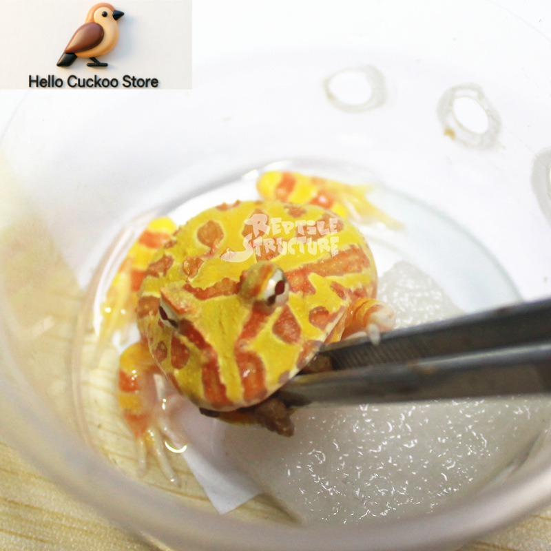 Horned Frog Food Granules Powd - Calcium Powder Reptile ulasan dan harga
