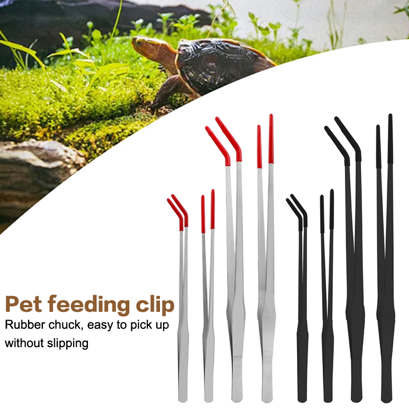 Stainless Steel Fish Tank Main - Feeding Tong Stainless ulasan dan harga