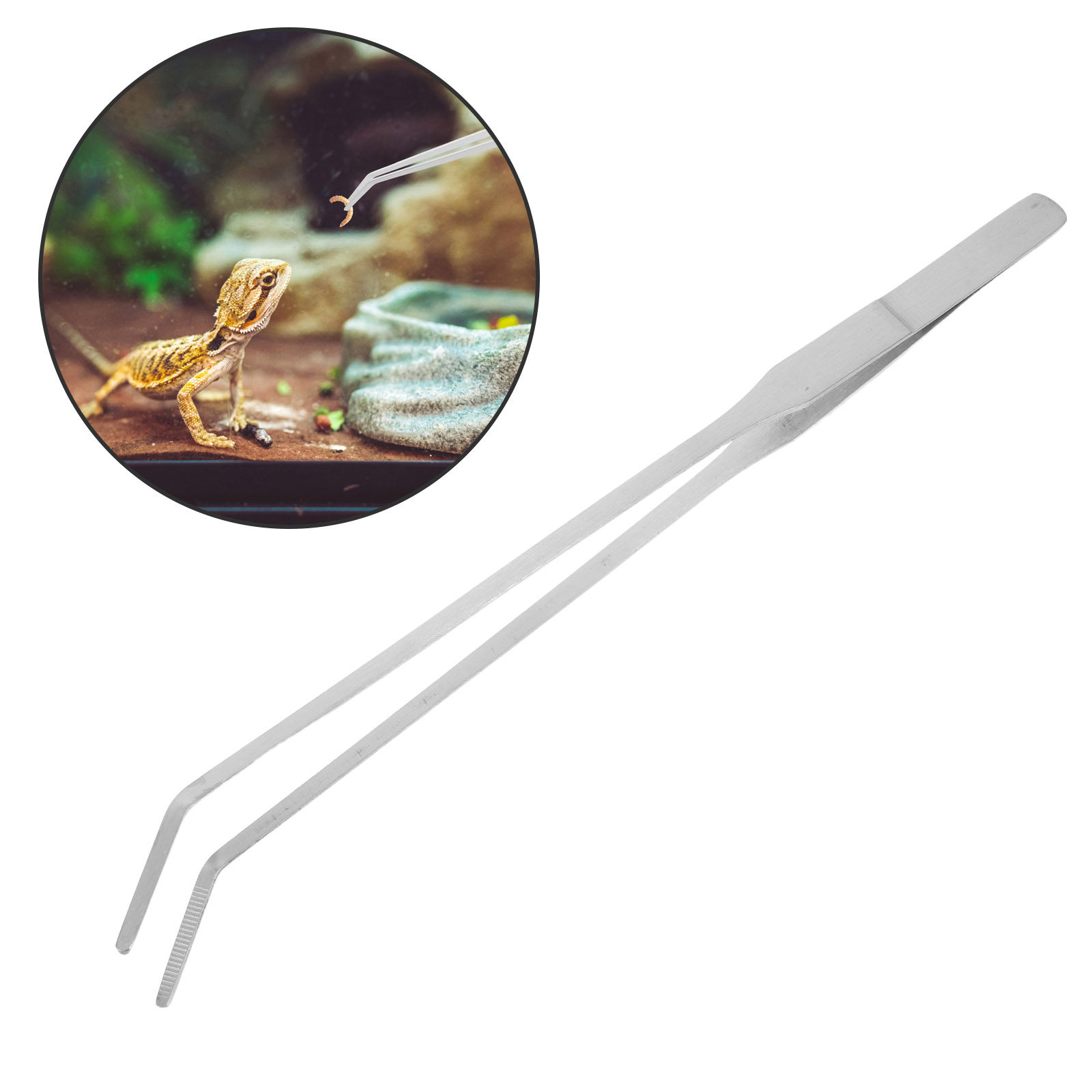 6Pcs Reptile Feeding Tong Stai - Feeding Tong Stainless ulasan dan harga
