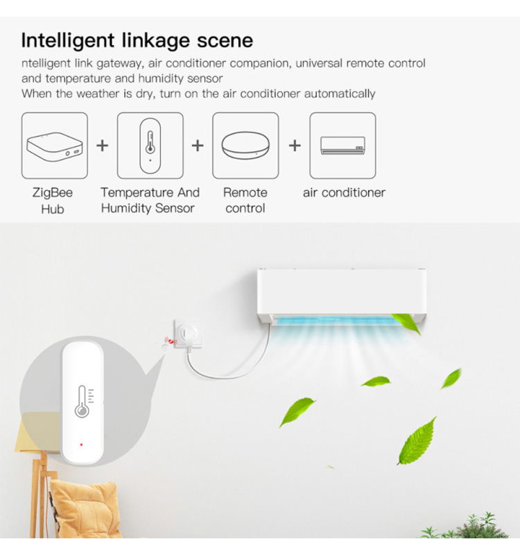 eWeLink Smart ZigBee Temperatu - Digital Hygrometer Probe ulasan dan harga