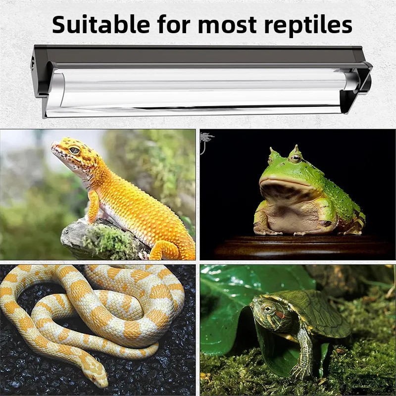T5 UVB Tube With Integrated Fi - Calcium Powder Reptile ulasan dan harga